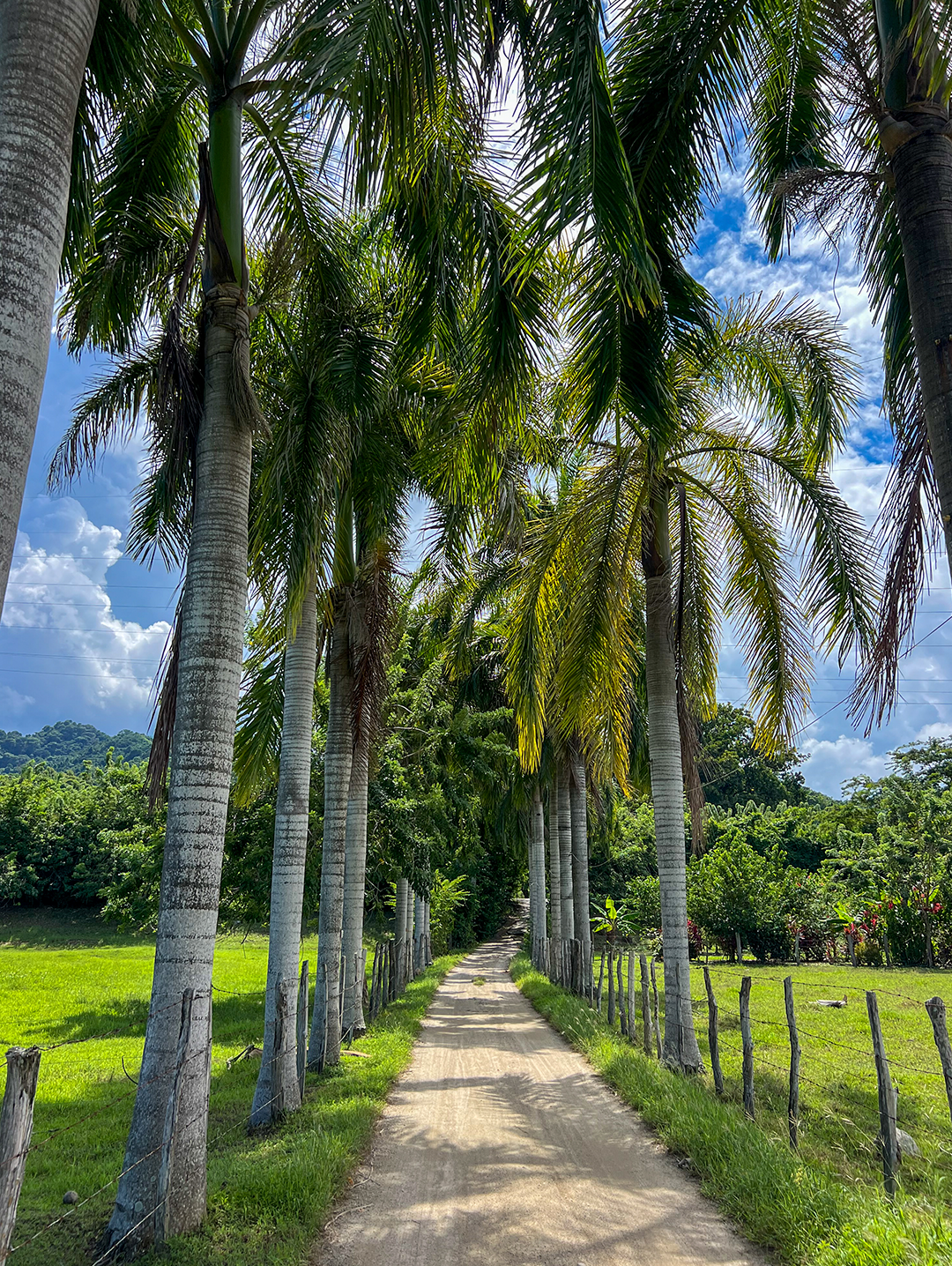 Entorno de Hotel Senderos del Mar 6